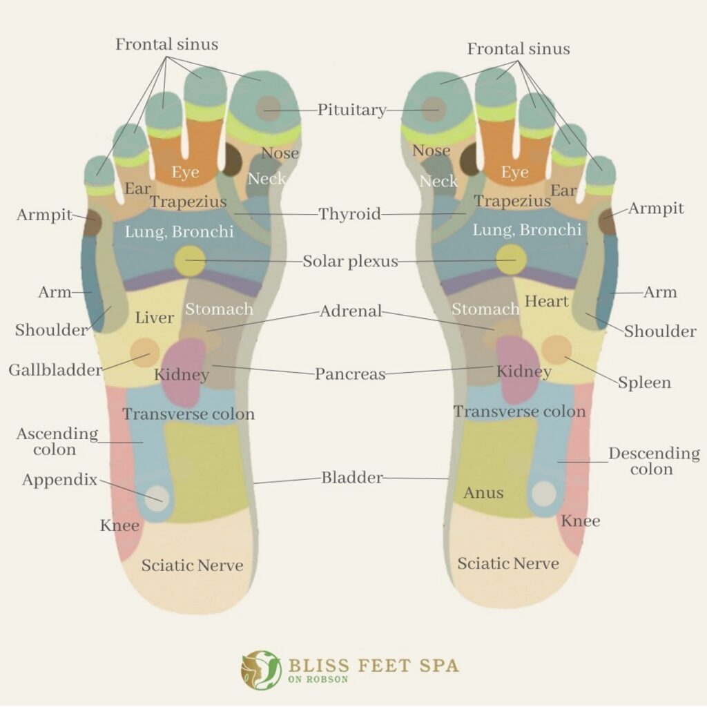 Foot massage pressure points 